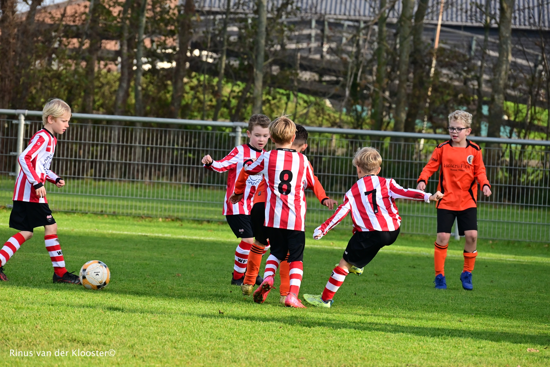 Diverse foto's van zaterdag 8 november